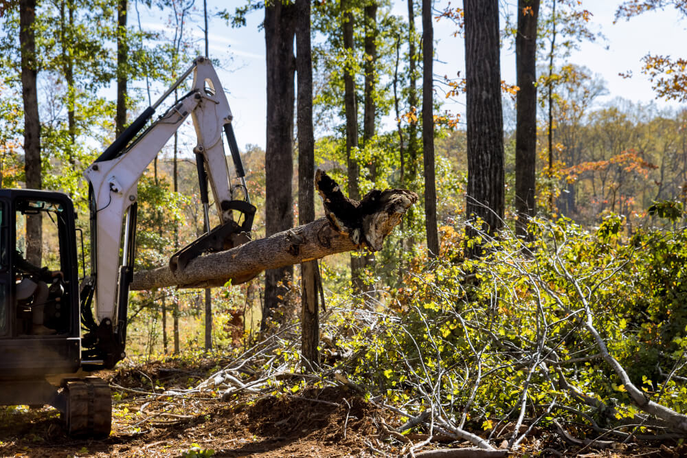 Market Segments - Forestry